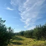 Maslina * Novaglia