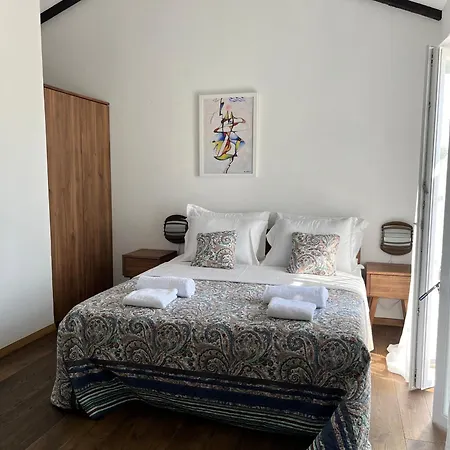 Maslina Villa Novalja